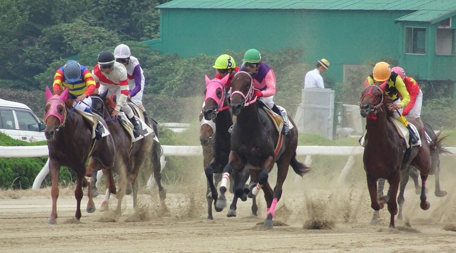 🏇 사가 경마장 (사가케이바조) 이미지 1